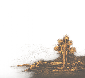 Desert landscape