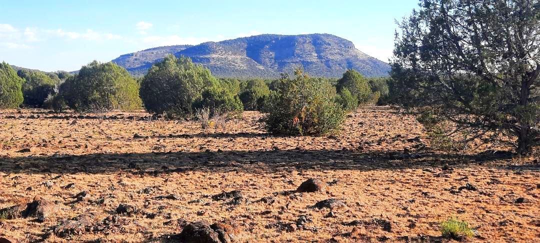 Parcel 307 Off-Grid Acreage For Sale in Arizona