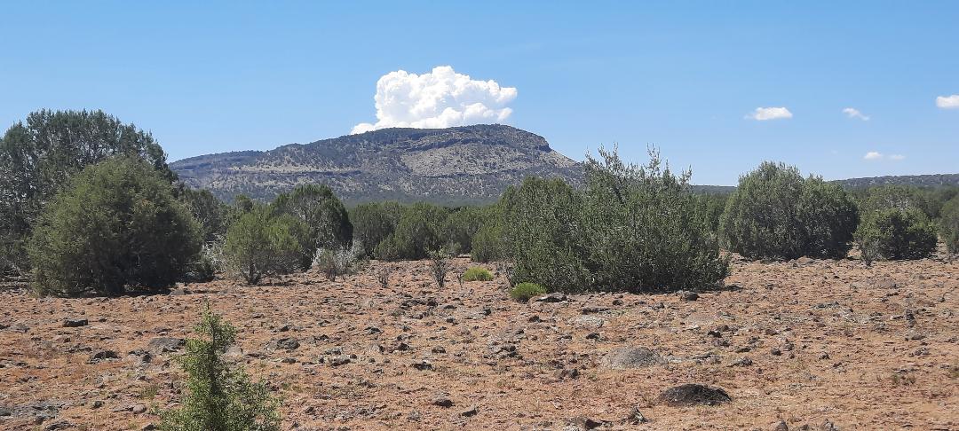 Property View Horizon