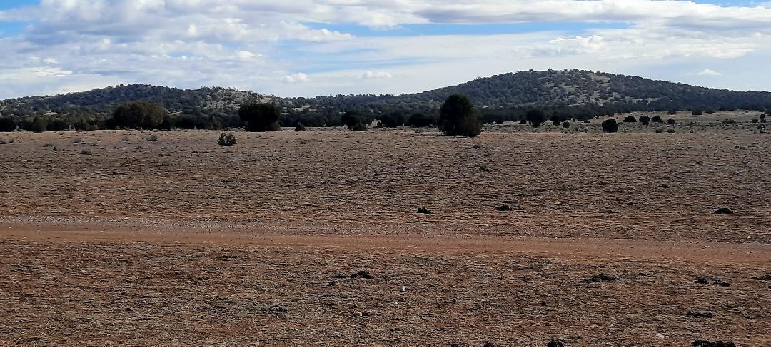 Property View Horizon