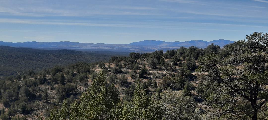Property View Horizon